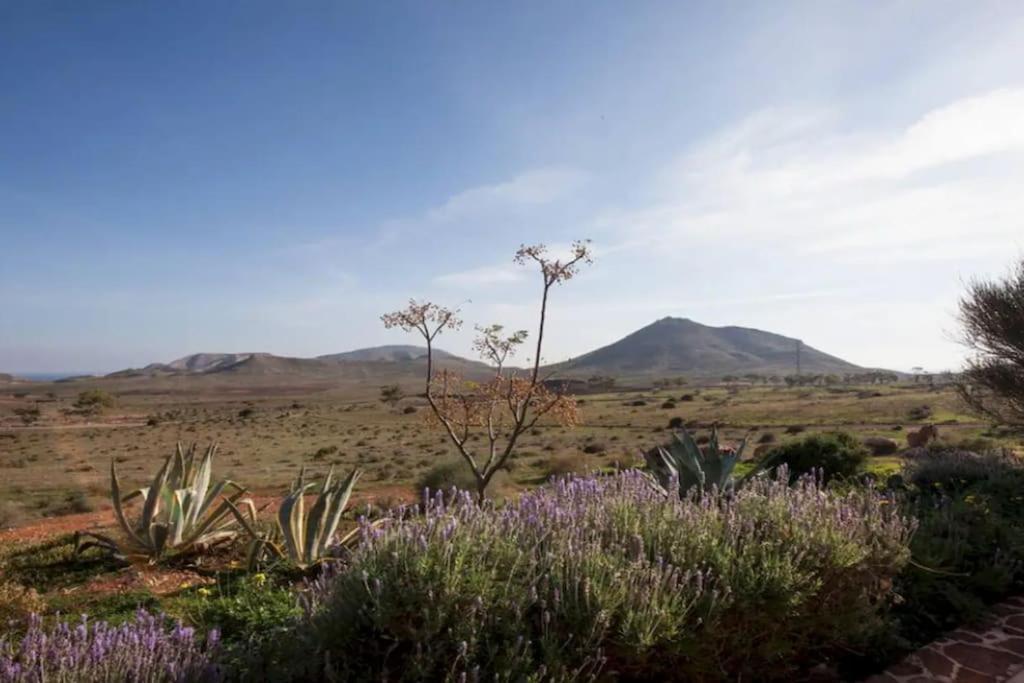 Willa El Risco Colorado, Cabo De Gata Rodalquilar Zewnętrze zdjęcie